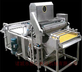 蔬菜清洗機(jī)