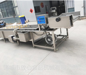 蔬菜清洗機(jī)