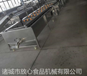 蔬菜清洗機(jī)