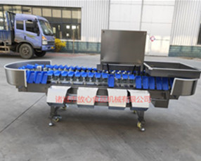 雞脖重量分選機(jī)