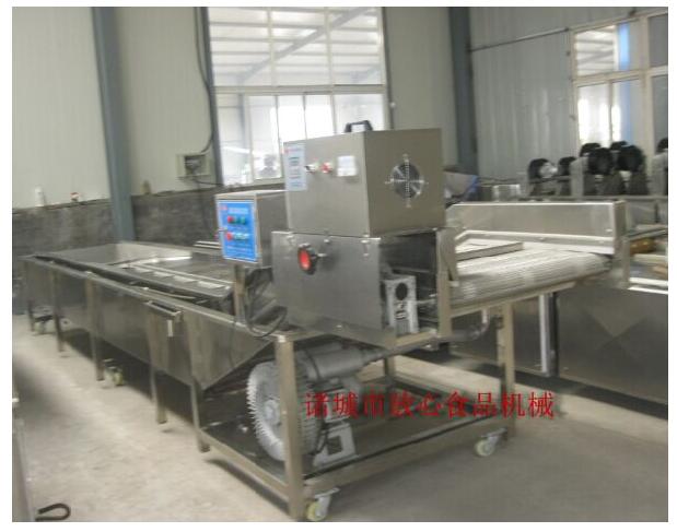 臭氧殺菌蔬菜清洗機(jī)